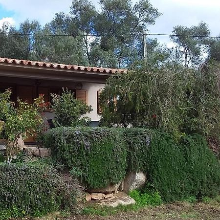 Casa-Lesia Porto-Vecchio (Corsica) Exterior foto